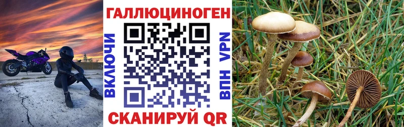 Псилоцибиновые грибы GOLDEN TEACHER  Заинск 